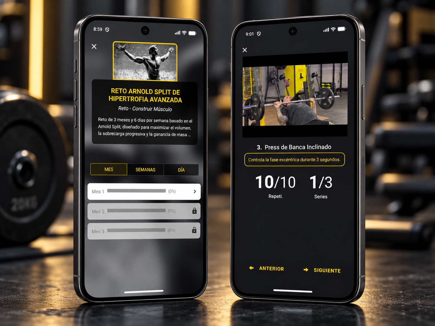Lifter Trainer para entrenadores personales